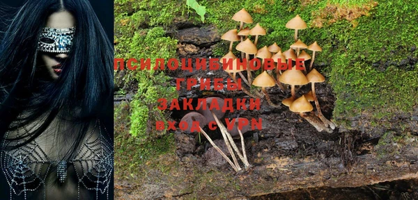ECSTASY Володарск