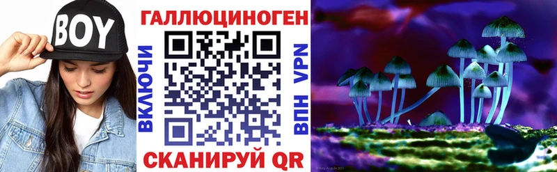 Псилоцибиновые грибы Magic Shrooms  Кызыл 